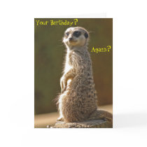 Meerkat Birthday Card