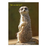Meerkat Birthday Card