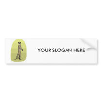MEERKAT BUMPER STICKERS