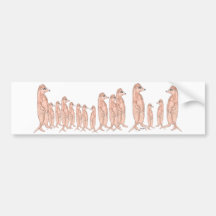 Meerkat Bumper Sticker