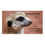 Meerkat Business Card