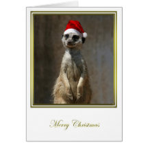 Meerkat Christmas 2 Greeting Cards