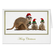 Meerkat Christmas 3 Greeting Card