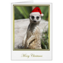 Meerkat Christmas 4 Card