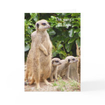 Meerkat gang birthday card