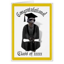 Meerkat Graduate W/Grey Gown & Black Sash Cards