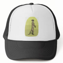 MEERKAT HATS