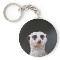 Meerkat Lookout Key Chains