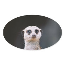 Meerkat Lookout Oval Sticker