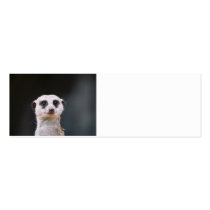Meerkat Lookout Profile Card Skinny Business Card Templates