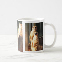 Meerkat Morning Mug