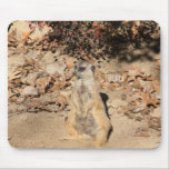 Meerkat mousepad mousepads