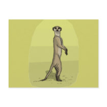 MEERKAT POST CARDS