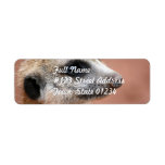 Meerkat Return Address Mailing Label