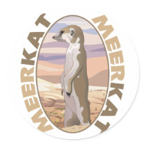 Meerkat