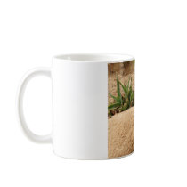 Meerkat to Hot Mugs