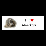 meerkats bookmark business cards