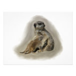 Meerkats Personalized Invites