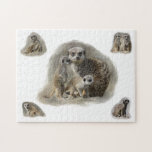 meerkats puzzles