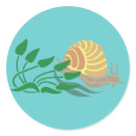 Meerschnecke sea snail stickers