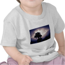 Meet Me in Paradise Collection