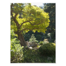 Meet Me In The Garden Photo