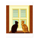 Meet the cats in window postcards