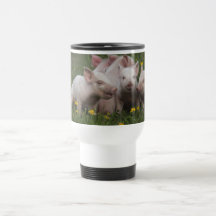 Meeting of the Three Little Pigs Coffee Mugs