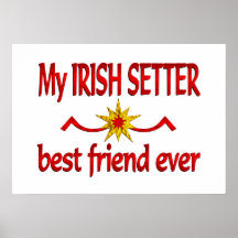 Meilleur ami de poseur irlandais poster