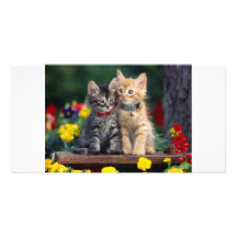 Meilleurs amis modèle pour photocarte