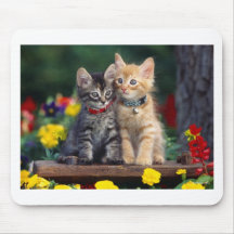 Meilleurs amis tapis de souris