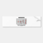 Meiosis Increasing Variability All Daughter Cells Bumper Sticker