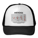 Meiosis Increasing Variability All Daughter Cells Hat