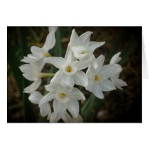 Melancholy Flowers Greeting Card