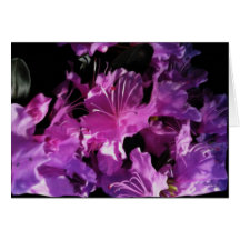 Melindas Garden 8 Cards