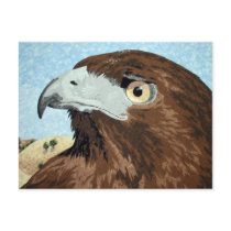 Melinistic Red-tail textile Postcard