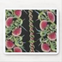Mellon Patch (Vintage Aloha Shirt) Mousepad