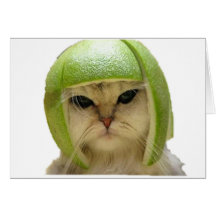 melon cat cards