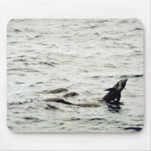 Melon-headed whale mousepad