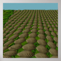 melons print