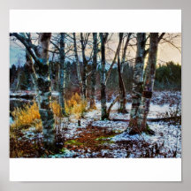 Melting snow among the trees posters