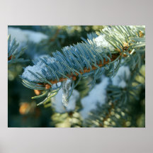 melting snow print