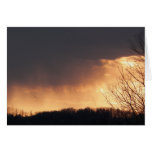 Même la tempête cartes de vœux
