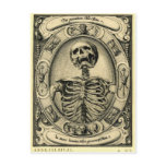 Memento Mori Post Card