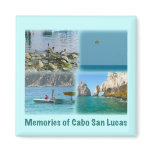 Memories of Cabo San Lucas