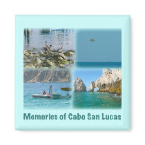 Memories of Cabo San Lucas