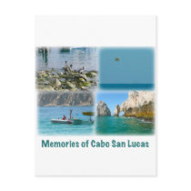 Memories of Cabo San Lucas