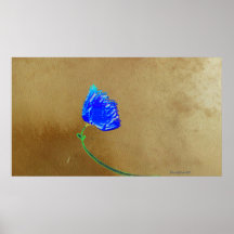 Memory Flower Print