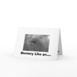 Memory Like an.... Card