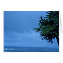 Mendocino, CA Card